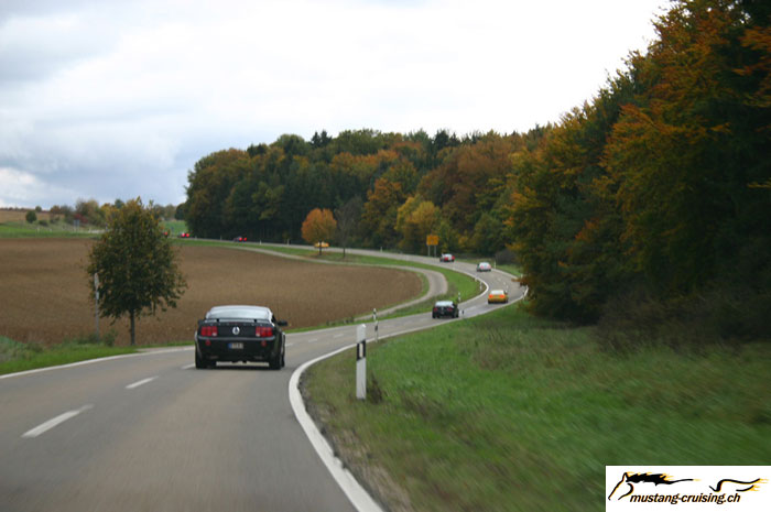 CRW_8542_JFR.jpg