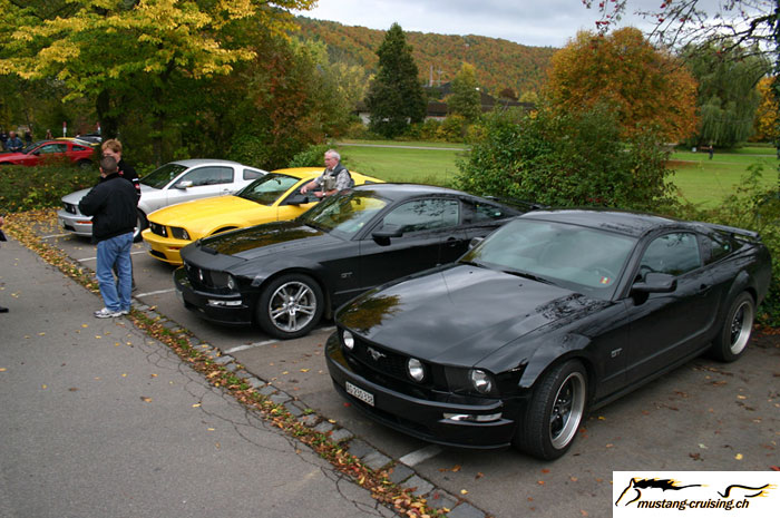 CRW_8564_JFR.jpg