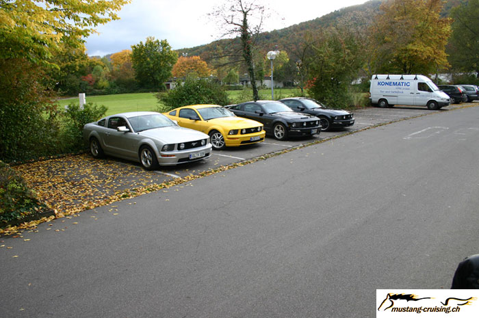 CRW_8569_JFR.jpg