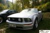 CRW_8490_JFR.jpg