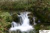 CRW_8491_JFR.jpg