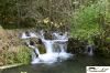 CRW_8493_JFR.jpg