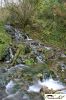 CRW_8499_JFR.jpg