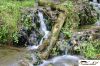 CRW_8502_JFR.jpg
