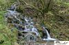 CRW_8505_JFR.jpg