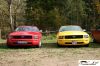 CRW_8507_JFR.jpg