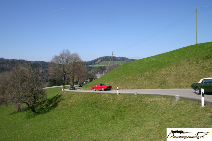 CRW_0848_RJ.jpg