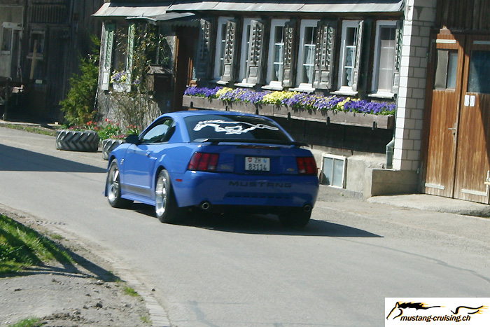 CRW_0863_RJ.jpg