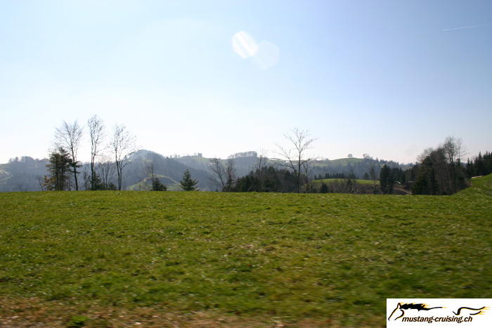 CRW_0865_RJ.jpg