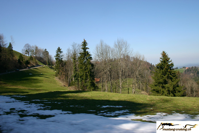 CRW_0882_RJ.jpg