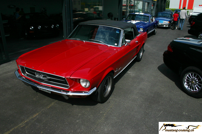 CRW_1638_JFR.jpg