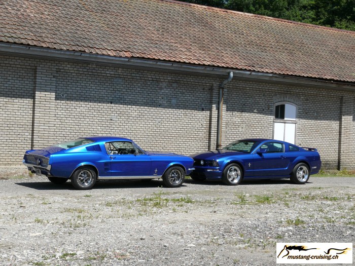 Roggwil017.jpg