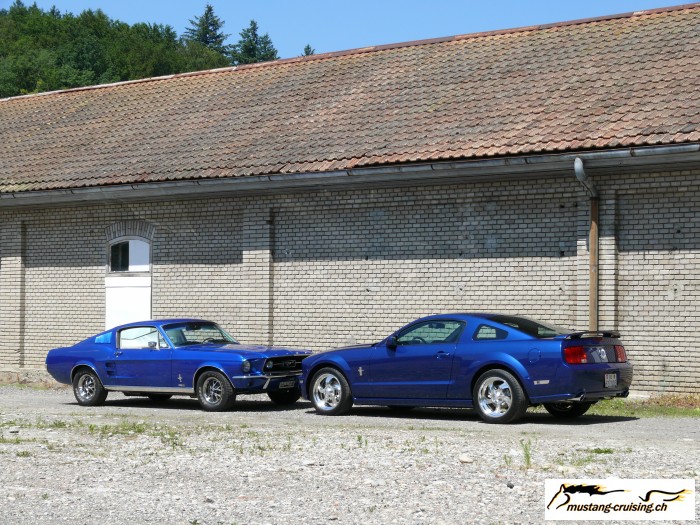 Roggwil018.jpg