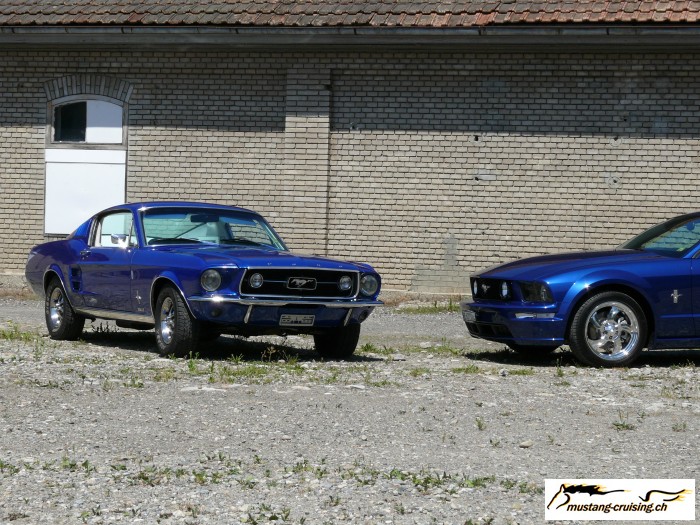 Roggwil023.jpg