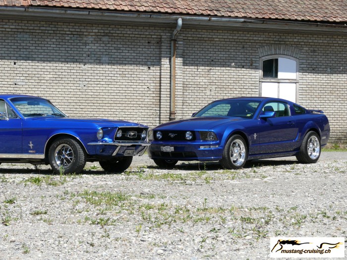 Roggwil024.jpg