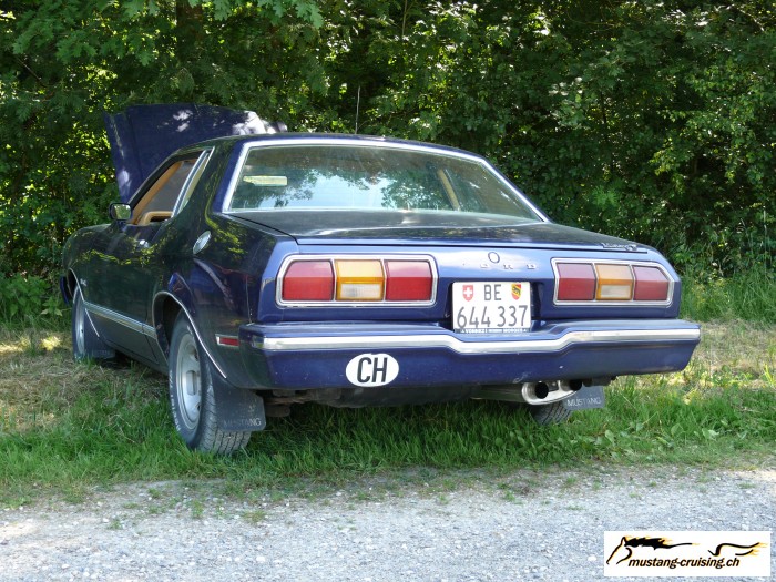 Roggwil038.jpg