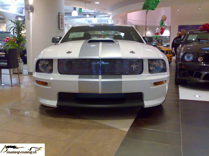 29112007064.jpg