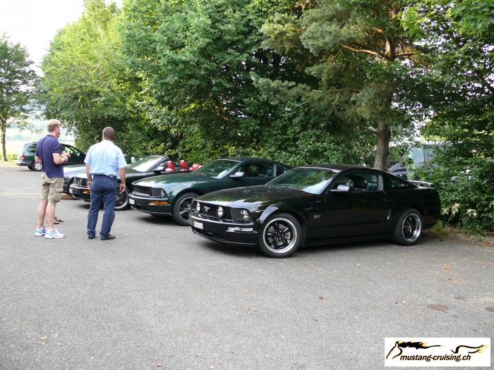 2008-06-25: Birrfeld
