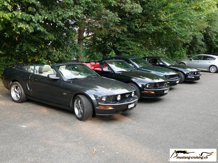 2008-06-25: Birrfeld
