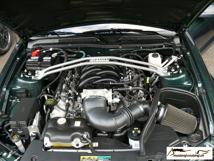 2008-06-25: Birrfeld
