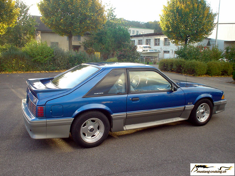 pony001.jpg