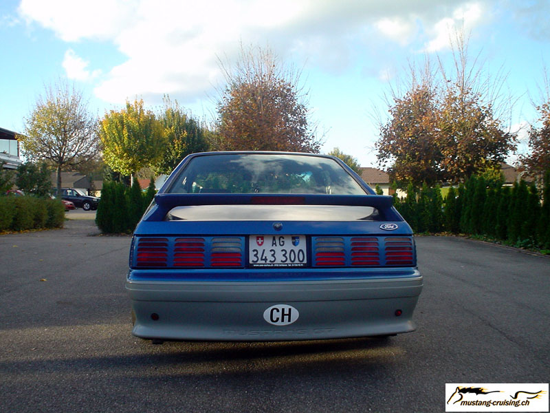 pony002.jpg