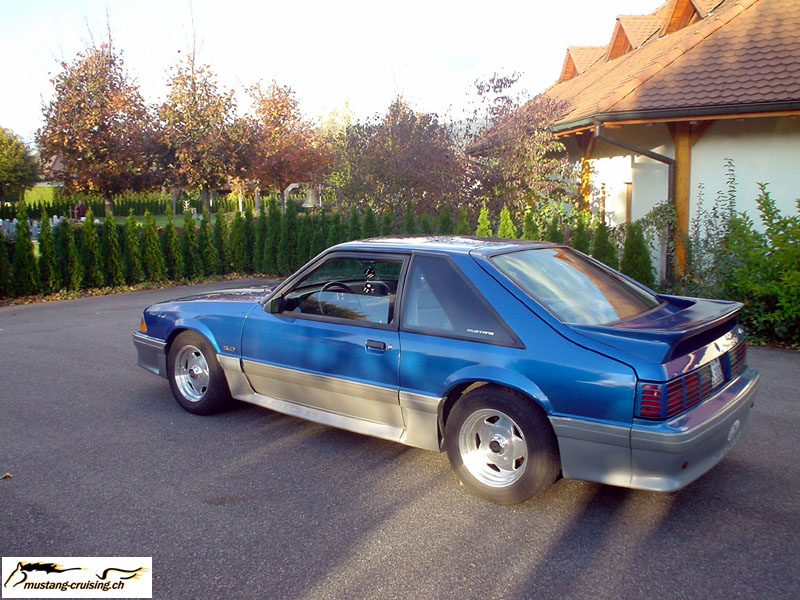 pony003.jpg