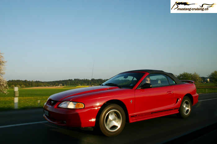 CRW_1206_JFR.jpg