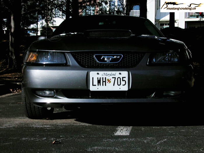 iStang-2.jpg