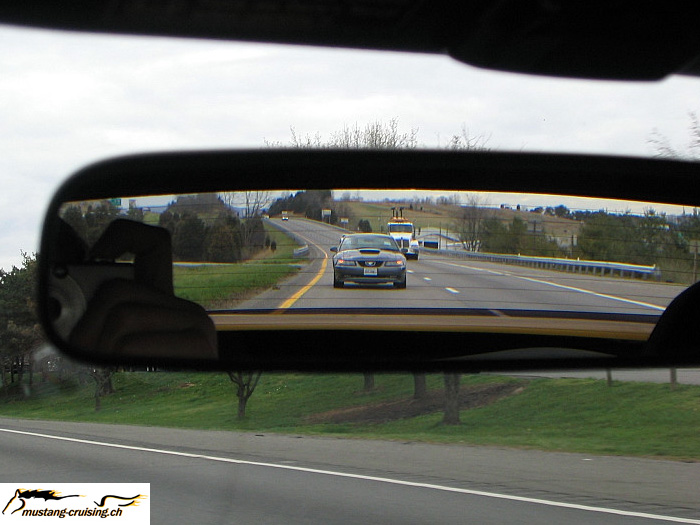 iStang-3.jpg