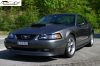 iStang-4.jpg