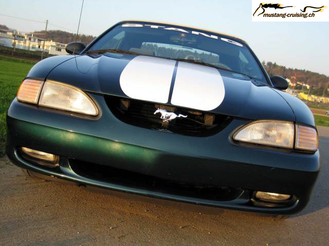 Mustangschrgeditweb2007.jpg