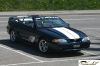 CRW_1136_JFR.jpg