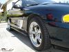 DSC00262.jpg