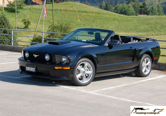 maclanz-1.jpg