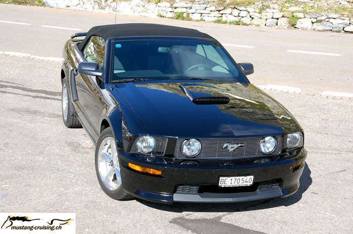 maclanz-4.jpg