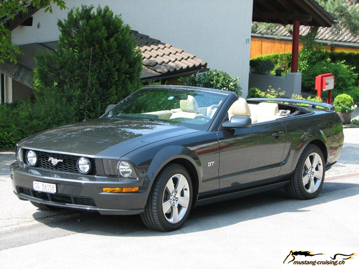 MyMustang-044.jpg