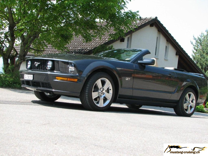 MyMustang-067.jpg
