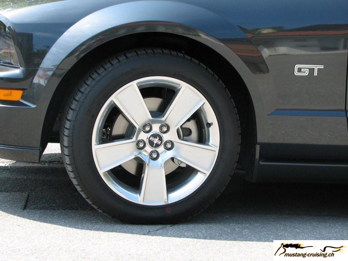 MyMustang-069.jpg