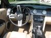 MyMustang-031.jpg