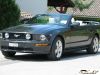 MyMustang-045.jpg