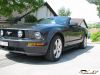 MyMustang-054.jpg