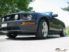 MyMustang-055.jpg