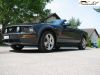 MyMustang-061.jpg