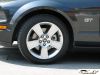 MyMustang-069.jpg