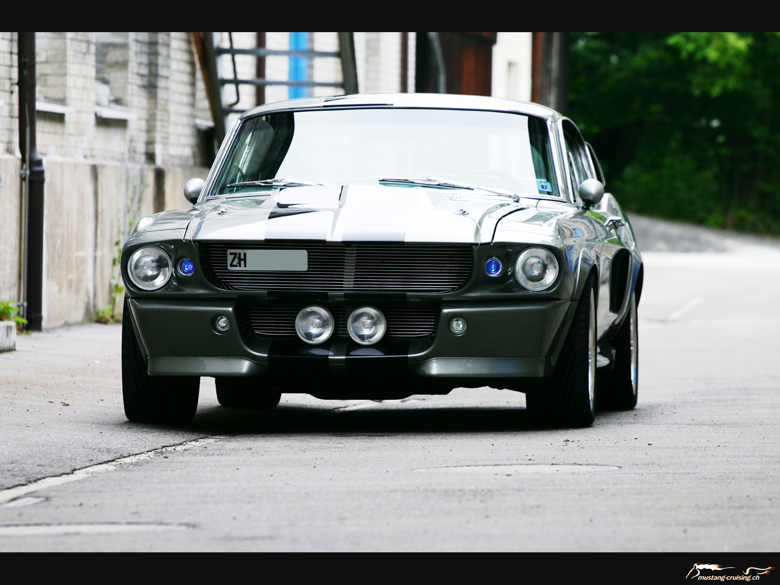 http://www.mustang-cruising.ch/cmine/albums/wallpapers/1964-1973/mustang-1967eleanor4.jpg