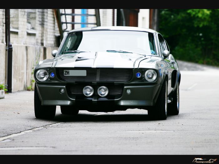 1967 Ford Mustang fastback "Eleanor"
Klicke auf das Bild, um es in Wallpapergrösse runterzuladen.

Foto: Jen
