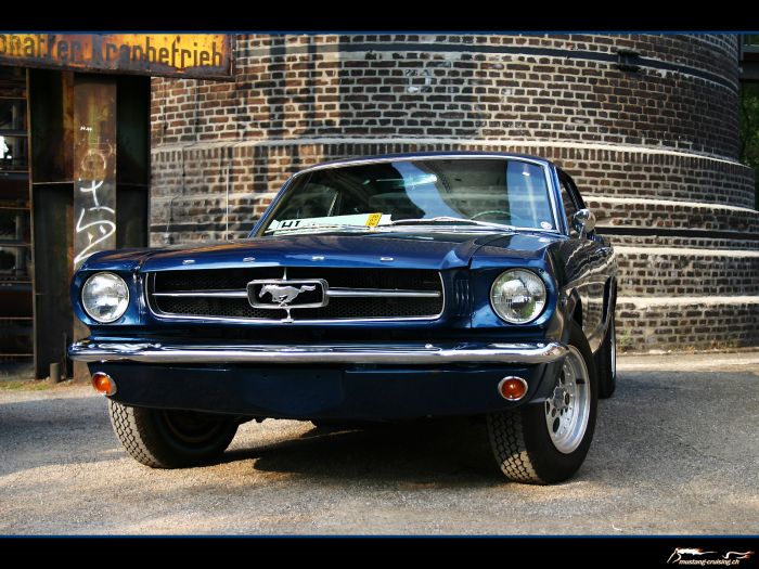 1965 Ford Mustang coupe
Klicke auf das Bild, um es in Wallpapergrösse runterzuladen.

Foto: Jen
