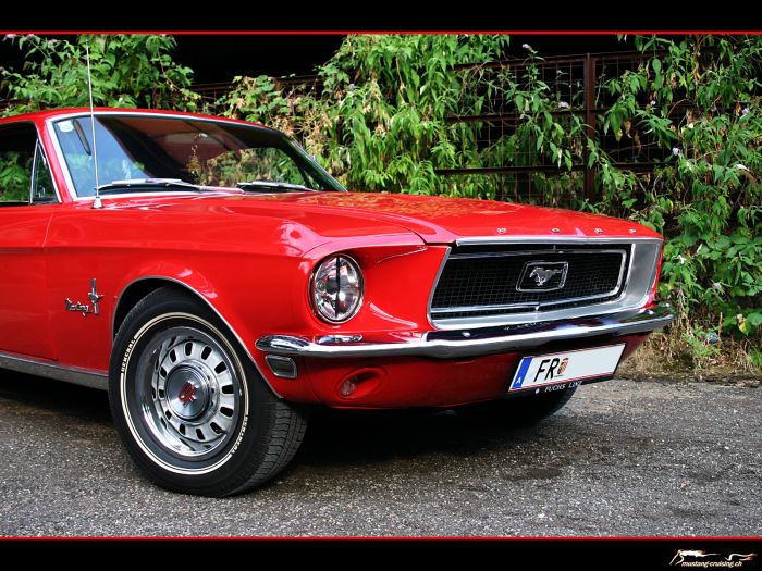 1968 Ford Mustang coupe
Klicke auf das Bild, um es in Wallpapergrösse runterzuladen.

Foto: Jen

