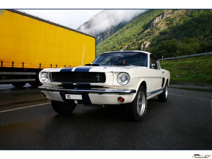 1965 Shelby GT350
Klicke auf das Bild, um es in Wallpapergrösse runterzuladen.
